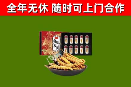 嘉善回收冬虫夏草价格